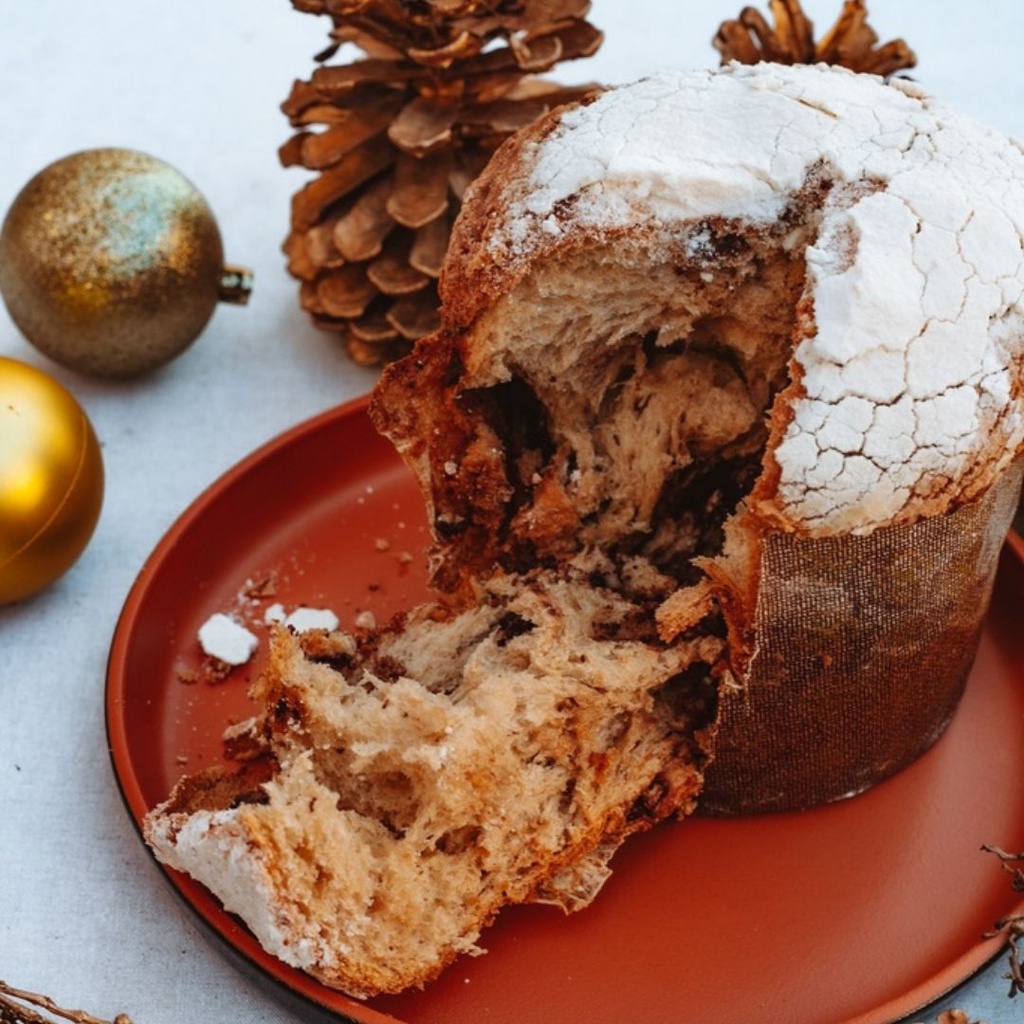 Chocottone Especial Boníssima