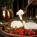 DUO DE BURRATA COM TOMATE CONFIT E MANJERICÃO
